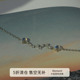 月光石北斗七星纯银手链新款 Moment 星空童话 轻奢小众精致送女友