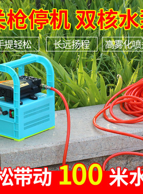 轻快便携式新型手提式电动喷雾器