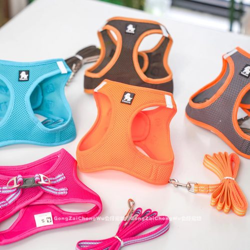 TRUELOVE狗狗牵引绳小型犬狗绳子幼犬遛狗绳背心式泰迪宠物胸背带