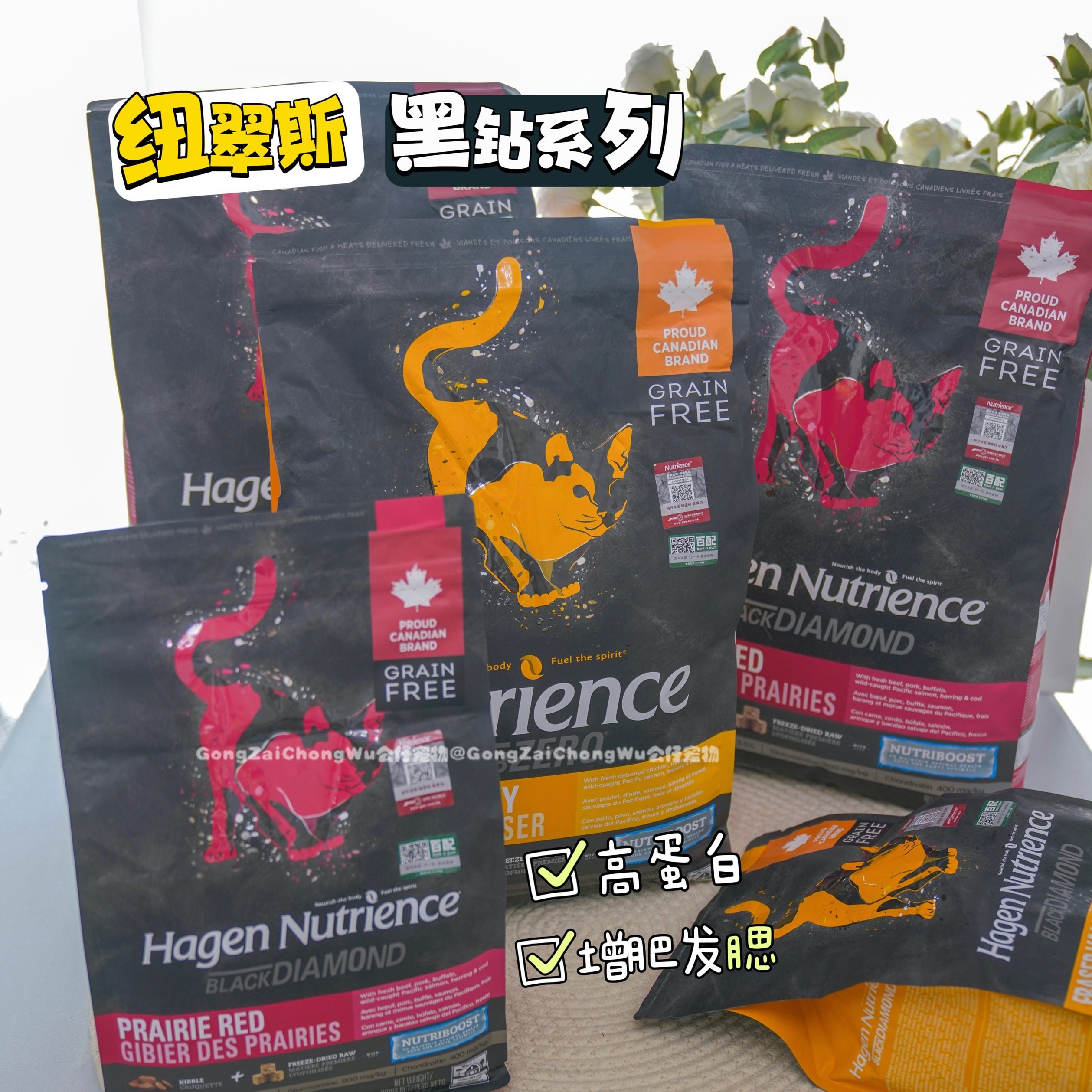 加拿大哈根纽翠斯猫粮黑钻红肉鸡牛鱼肉无谷冻干成幼猫粮高蛋白