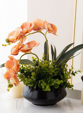 仿真蝴蝶兰橙色假花新中式古典盆栽客厅书房餐桌装饰绿植小摆件设