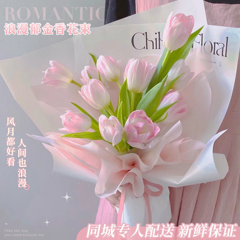 情人节全国郁金香花束生日礼物鲜花速递同城云南昆明太原配送女友