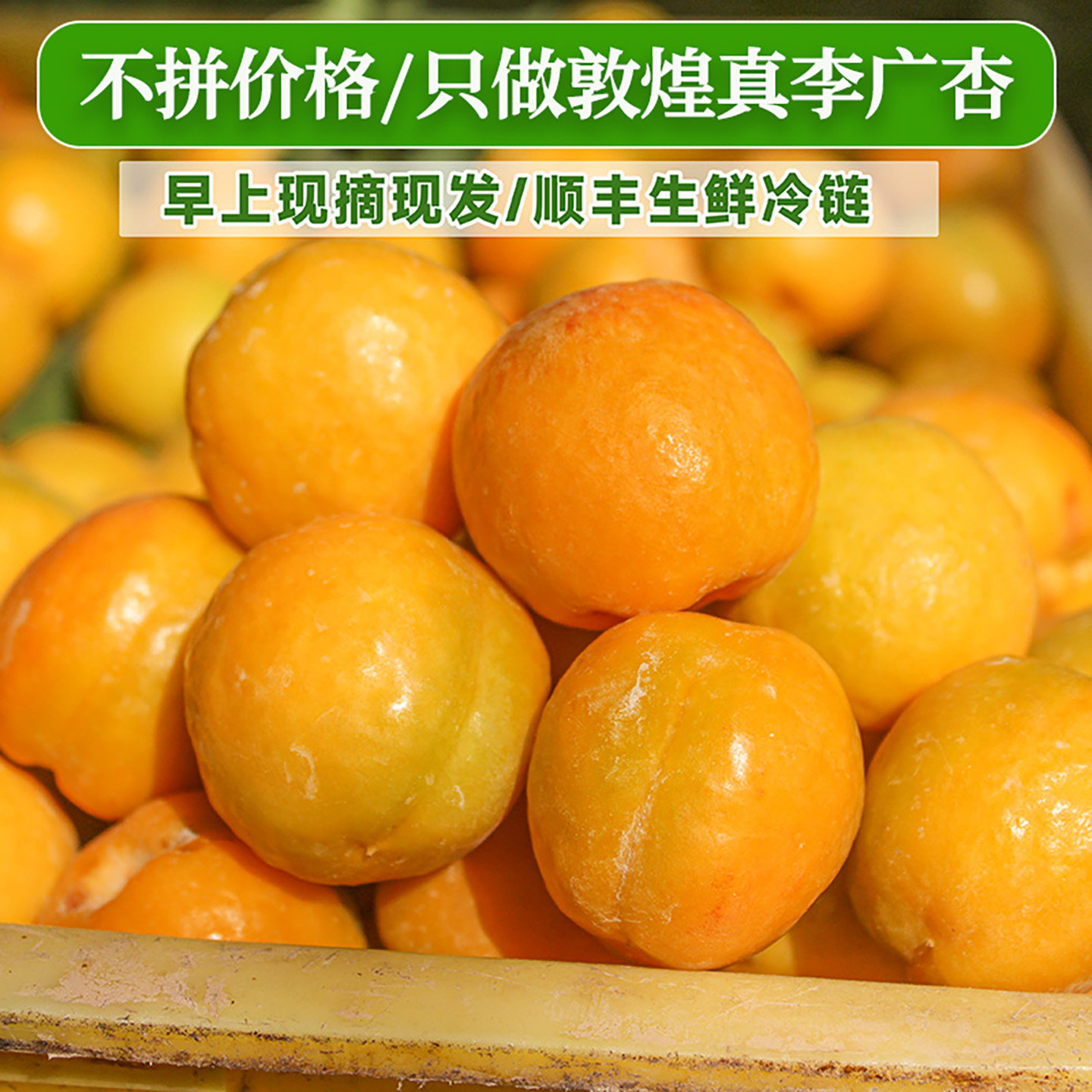 敦煌正李广杏新鲜当季鲜果包顺丰