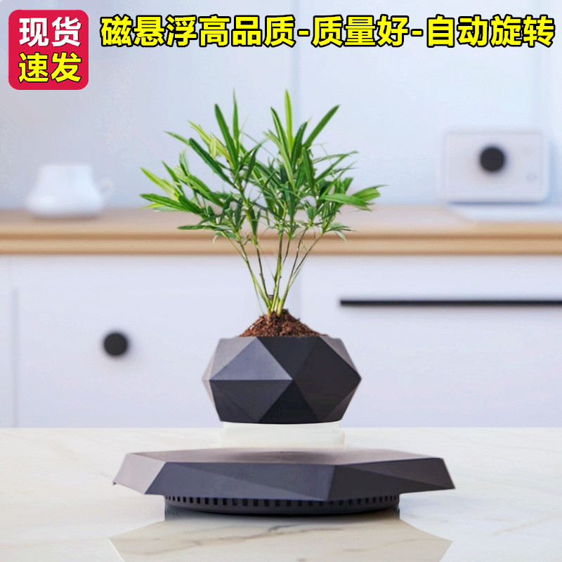 磁悬浮摆件客厅办公室家居轻奢高档摆件盆栽空中花盆景创意黑科技