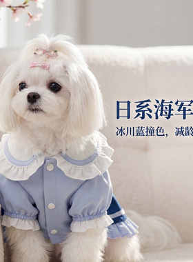 狗狗裙子公主风春夏薄款透气比熊泰迪马尔济斯小型犬猫咪宠物衣服