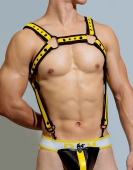 饰欧美情趣诱惑性感派对舞台 装 D.M男款 肩带吊带金属连体吊扣式