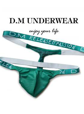 D.M男内裤低腰性感网眼纯色单丁诱惑字母透气透视T裤个性绷带