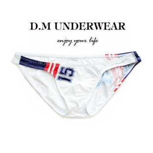 D.M男内裤 吸汗透气夏牛奶丝冰丝薄比基尼 字母15性感低腰三角裤