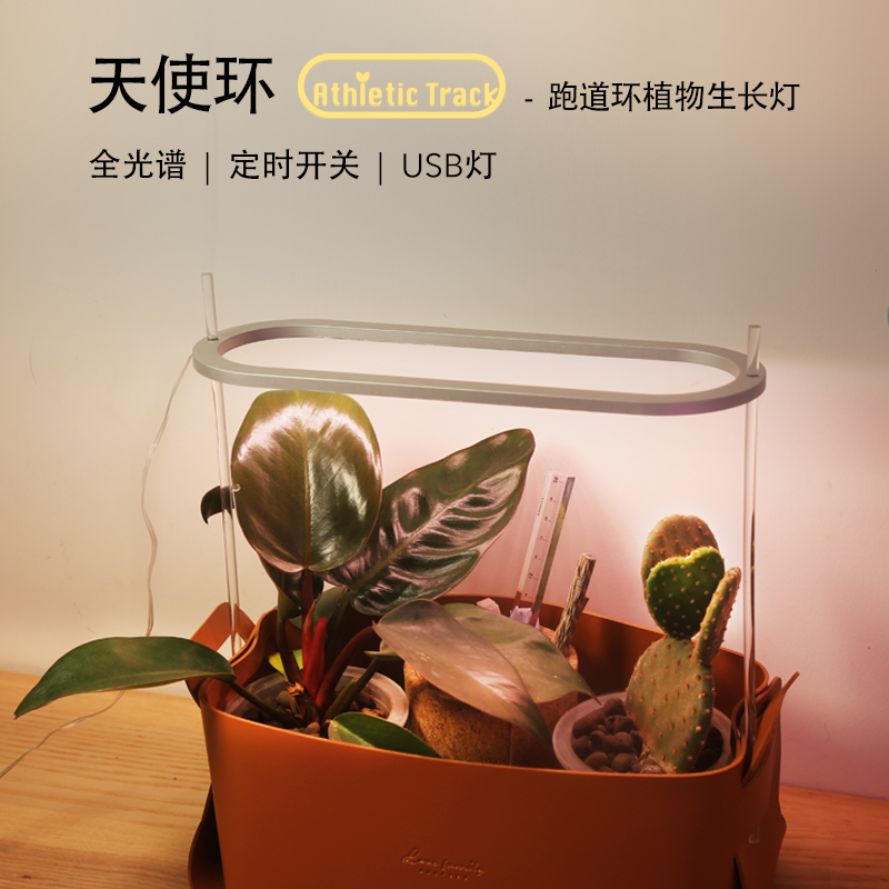天使跑道环植物生长灯仿太阳全光谱室内家用光照灯上色多肉补光灯