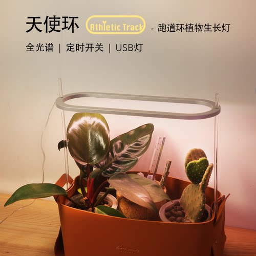 天使跑道仿太阳家用多肉补光灯