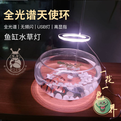 led防水装饰增艳日光新品照明灯