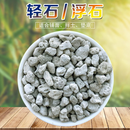水陆缸造景材料轻石 水族铺面石多肉植物铺面垫底 轻石浮石颗粒土 - 封面