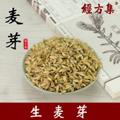250 麦芽中药材大麦芽麦牙打生麦芽粉出芽率高100 500g 经方集