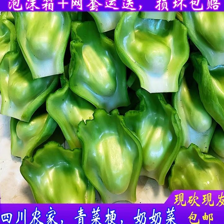 四川广安特产泡菜用青菜奶奶菜当季新鲜青菜梗芥菜梗青菜片青菜块,水产肉类/新鲜蔬果/熟食,叶菜类,淘宝优惠券,粉丝福利购,淘宝优惠卷