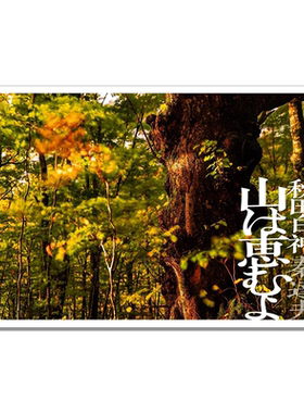 【预售】秋田白神 山は恵むよ 白神山地 秦達夫 森林自然景观摄影写真集