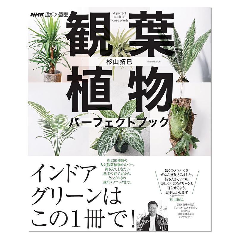 园艺杂志 观叶植物指南书 NHK趣味の園芸 観葉植物 パーフェクトブック 杉山 拓巳 进口原版