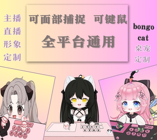 Bongocat面捕软件vup定制虚拟主播定制live 2d定制游戏不露脸主播