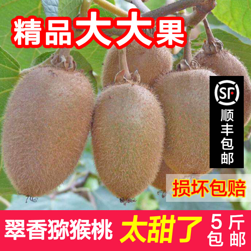 周至翠香猕猴桃超甜绿心泥猴桃新鲜当季水果弥猴桃奇异果5斤特大