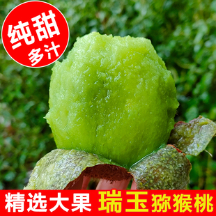 周至纯甜瑞玉猕猴桃绿心奇异果新鲜现摘现发当季弥猴桃硬果即食