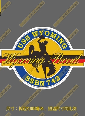 SSBN-742怀俄明号弹道导弹核潜艇 A  徽章 车贴 行李箱贴