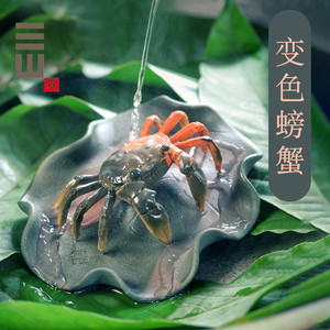变色螃蟹茶宠精品可养抖音紫砂茶玩茶盘摆件招财茶宝手工禅意茶道