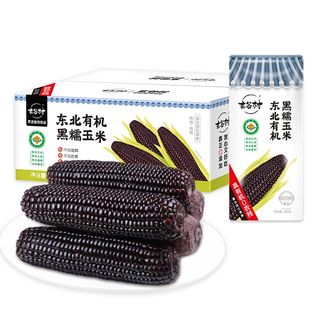 玄谷村东北有机黑糯玉米220g*8穗家庭装健康轻食含原花青素新鲜黏