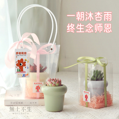 多肉植物室内盆栽伴手礼盒小众高级结婚满月回礼离职教师节礼物