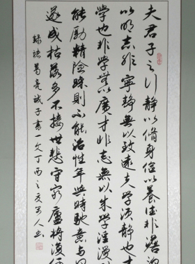 装饰画玄关过道窄墙面条幅字画书房中堂手写书法真迹诫子书书画