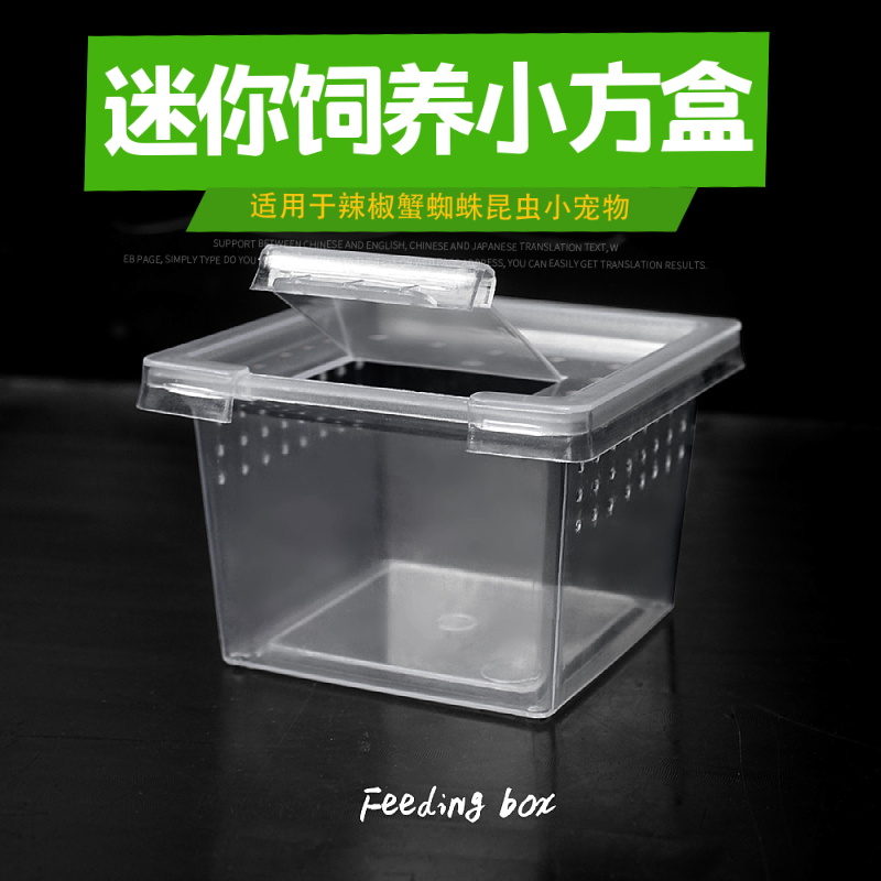 小方盒小盒子蜘蛛饲养爬宠饲养箱