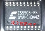CS5503-BS CS5503-BSZ SOP20 音频编解码器芯片 进口现货 可直拍