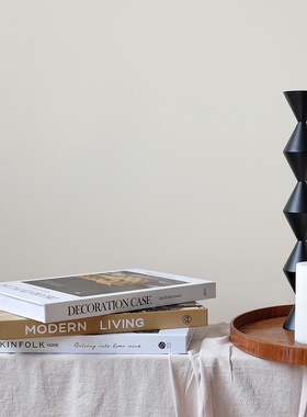 软装样板房装饰书酒店会所仿真书