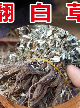 带根新货干品正品根500g翻白草