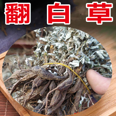 带根新货干品正品根500g翻白草