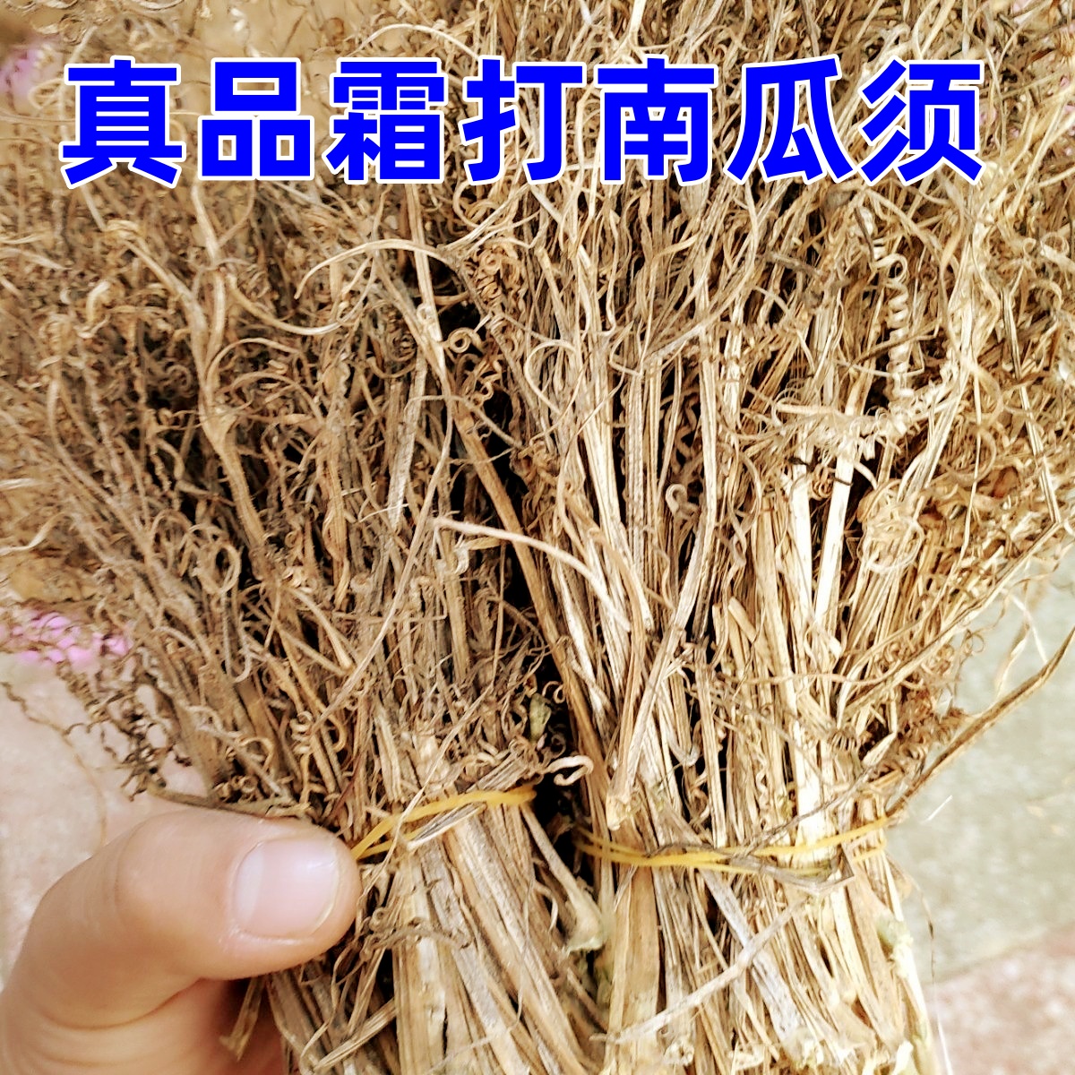 霜打南瓜须正宗吊南瓜蔓真品南瓜须新货无硫干南瓜藤卷须非南瓜藤