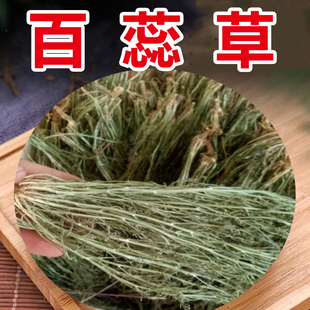 老田特产百蕊草 青龙草 百乳草小草细须草 麦黄草山村500克 包邮