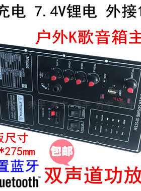 315L广场舞音响双声道功放板9V充电DSP蓝牙K歌12V音箱主机275*168
