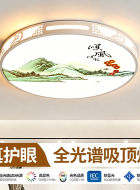 主卧室灯2026新款LED吸顶灯现代简约全光谱护眼儿童房间中山灯具
