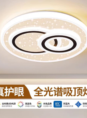 主卧室吸顶灯客厅房间吊灯具大全2026新款现代简约大气广东中山