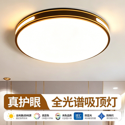 超亮吸顶灯主卧室儿童房间全光谱阳台客厅吊灯具现代简约大气中山