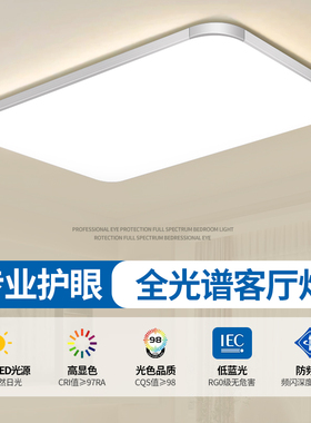 全光谱护眼2025新款客厅灯LED吸顶灯房间卧室灯简约现代中山灯具