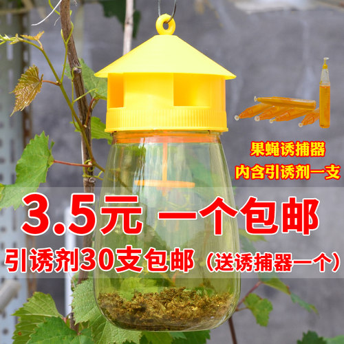 果蝇诱捕器果园菜地引诱剂内含