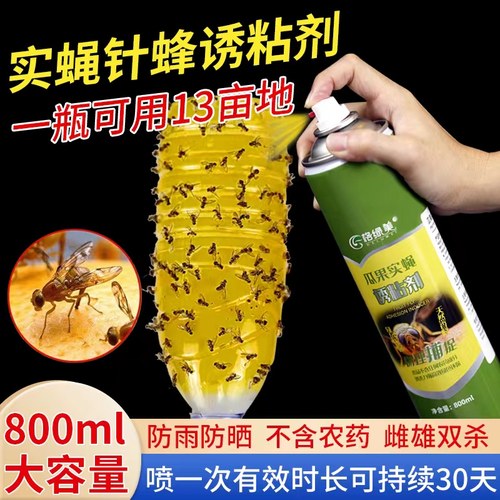 瓜果实蝇诱粘剂果园桔针蜂诱黏性