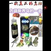 鹦鹉鸟类手养玄凤牡丹虎皮缩头闭眼红不吃羽蓬松积食精神不好备用