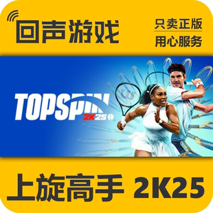 Steam正版国区CDkey 上旋高手 2K25 TopSpin 2K25 激活码入库秒发