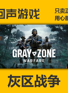 Steam 正版 国区 灰区战争 Gray Zone Warfare  现货入库 cdkey