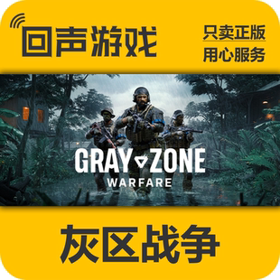 灰区战争 cdkey Steam 国区 Warfare 现货入库 Zone 正版 Gray
