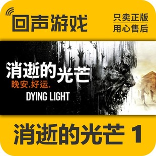 光芒 消逝 决定版 十周年包 Light信徒增强 Steam正版 Dying key