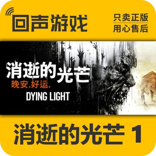 steam消逝的光芒国区正版激活码