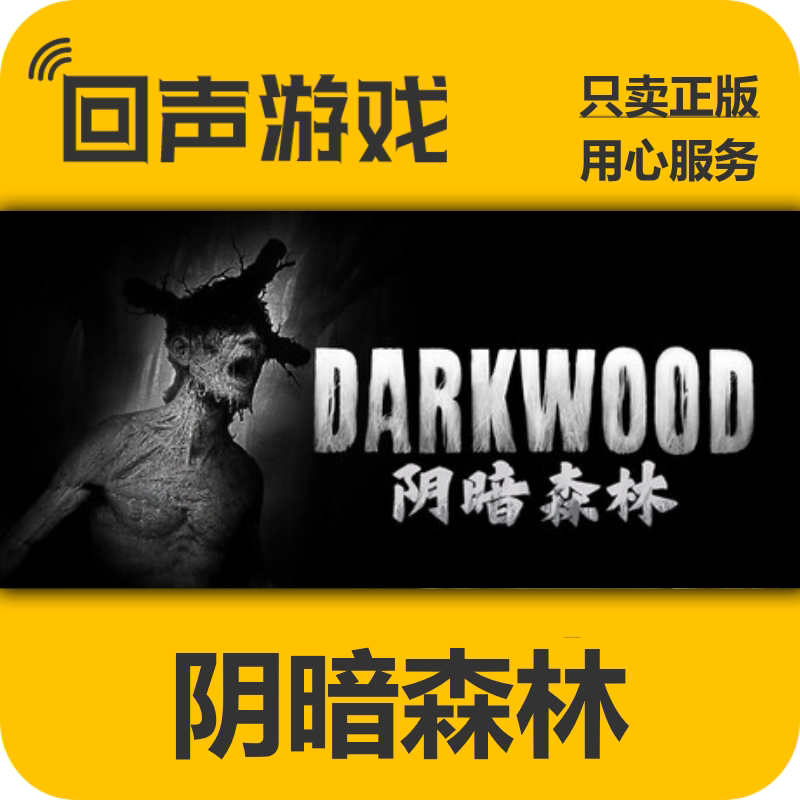 Steam正版国区key 阴暗森林 Darkwood 激活码入库 秒发 生存恐怖