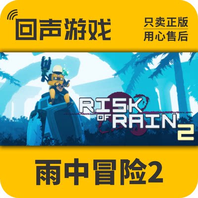 PCsteam雨中冒险2正版激活码秒发